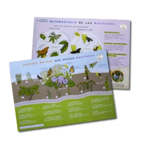 Lámina de jardines nativos que atraen mariposas (formato A4)